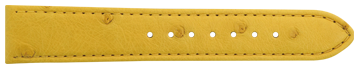 Yellow(097)